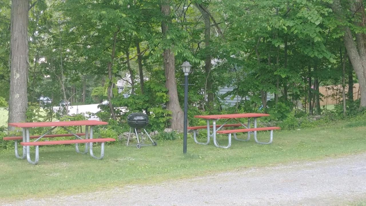 Serenity Motel Shaftsbury المظهر الخارجي الصورة